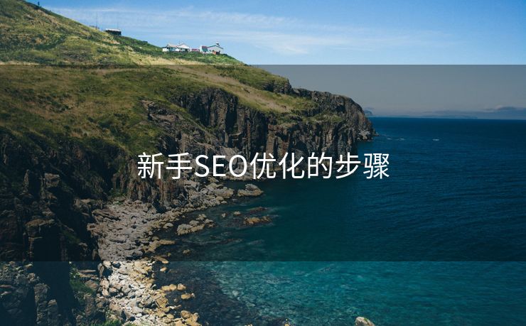 新手SEO优化的步骤-第2张图片-慧达站长工具