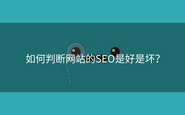 如何判断网站的SEO是好是坏？-第1张图片-慧达站长工具