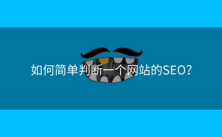 如何简单判断一个网站的SEO？-第2张图片-慧达站长工具