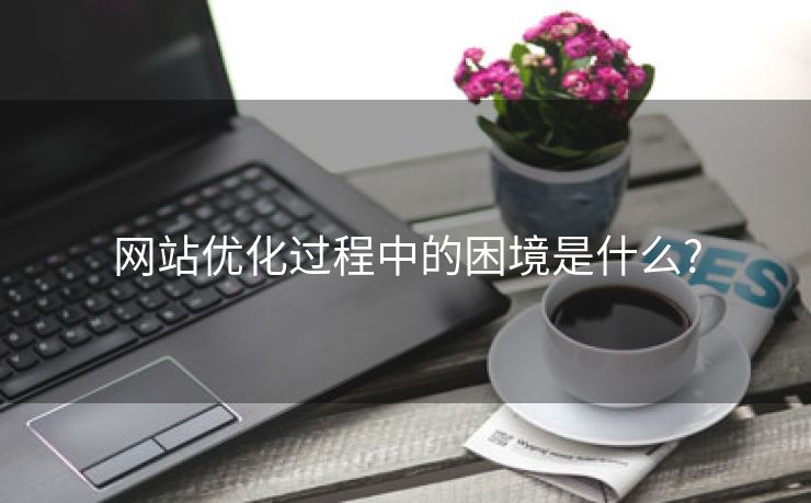 网站优化过程中的困境是什么?-第2张图片-慧达站长工具