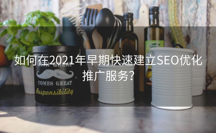 如何在2021年早期快速建立SEO优化推广服务？-第1张图片-慧达站长工具