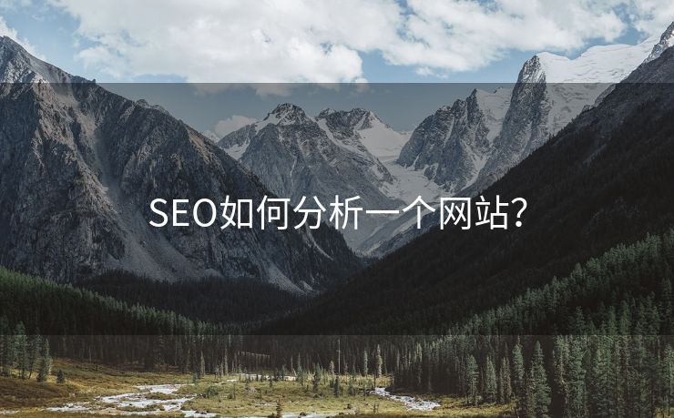 SEO如何分析一个网站？-第2张图片-慧达站长工具