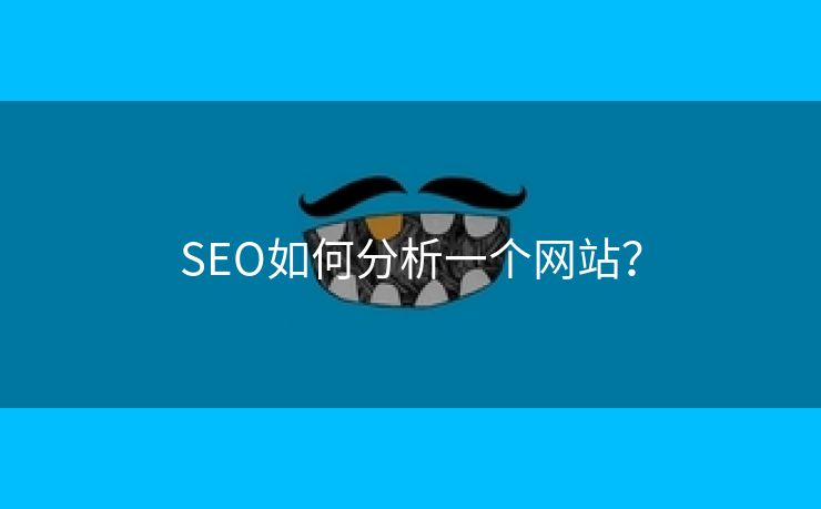 SEO如何分析一个网站？-第1张图片-慧达站长工具