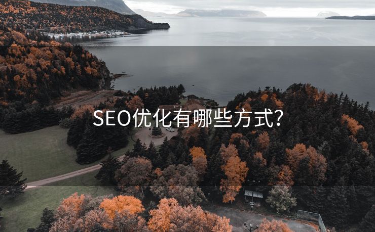 SEO优化有哪些方式？-第1张图片-慧达站长工具