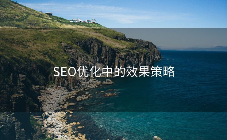 SEO优化中的效果策略-第2张图片-慧达站长工具