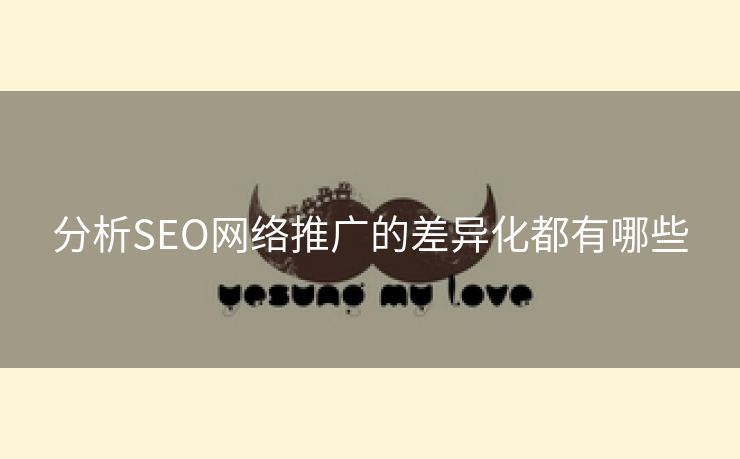 分析SEO网络推广的差异化都有哪些-第1张图片-慧达站长工具