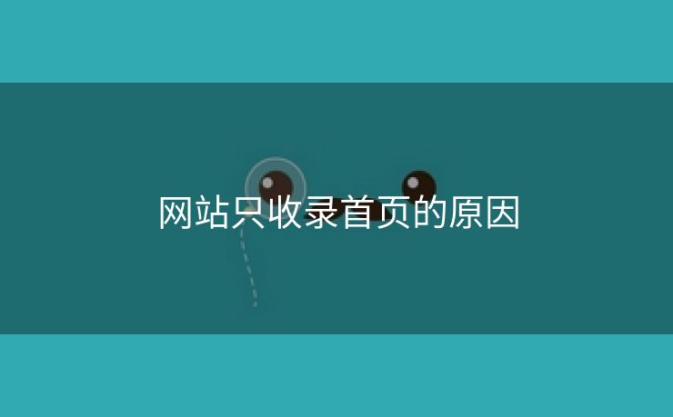 网站只收录首页的原因-第2张图片-慧达站长工具