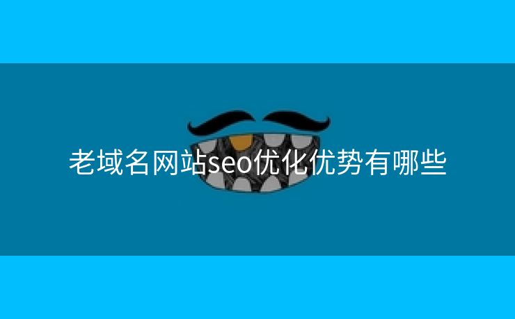 老域名网站seo优化优势有哪些-第1张图片-慧达站长工具