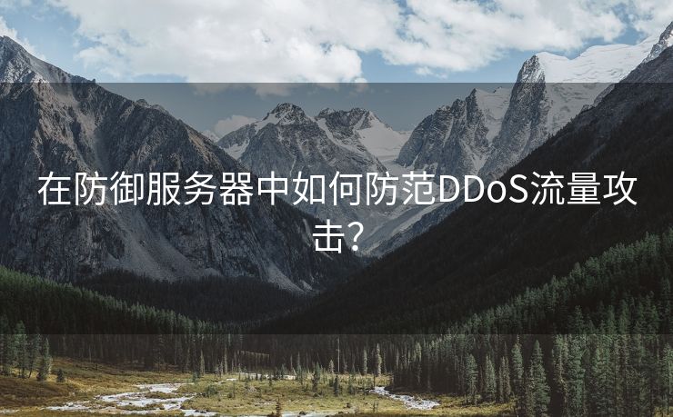 在防御服务器中如何防范DDoS流量攻击？-第2张图片-慧达站长工具