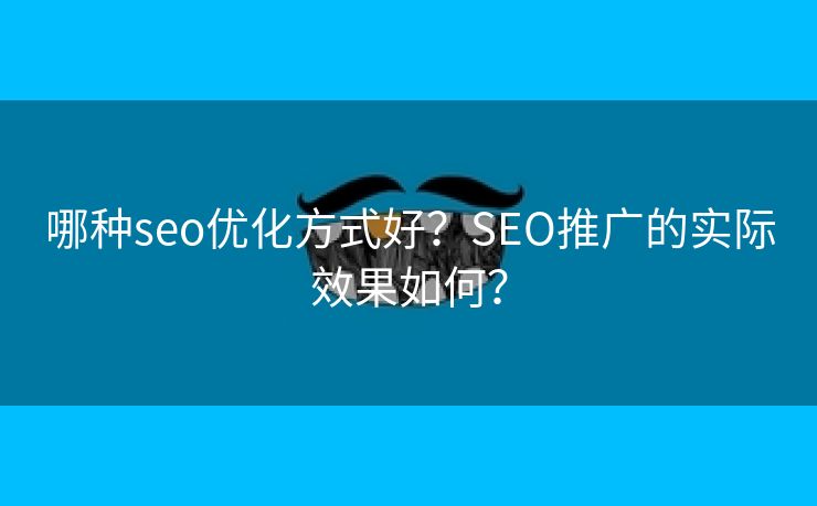 哪种seo优化方式好？SEO推广的实际效果如何？-第2张图片-慧达站长工具