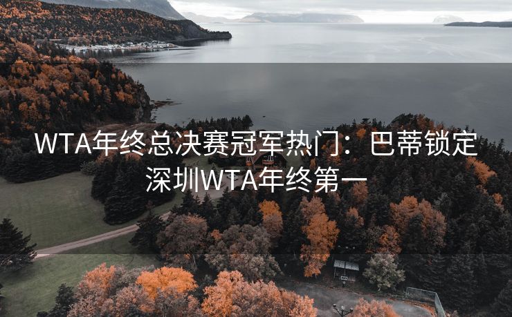 WTA年终总决赛冠军热门：巴蒂锁定深圳WTA年终第一