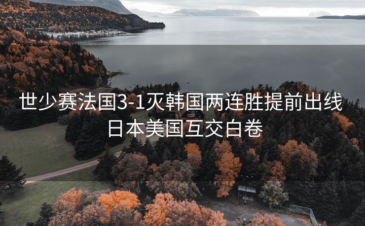 世少赛法国3-1灭韩国两连胜提前出线 日本美国互交白卷