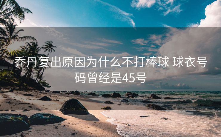 乔丹复出原因为什么不打棒球 球衣号码曾经是45号