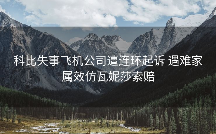 科比失事飞机公司遭连环起诉 遇难家属效仿瓦妮莎索赔