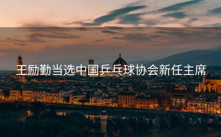 王励勤当选中国乒乓球协会新任主席