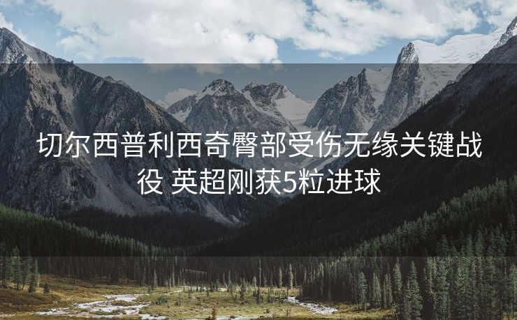 切尔西普利西奇臀部受伤无缘关键战役 英超刚获5粒进球