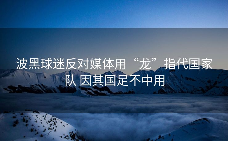 波黑球迷反对媒体用“龙”指代国家队 因其国足不中用
