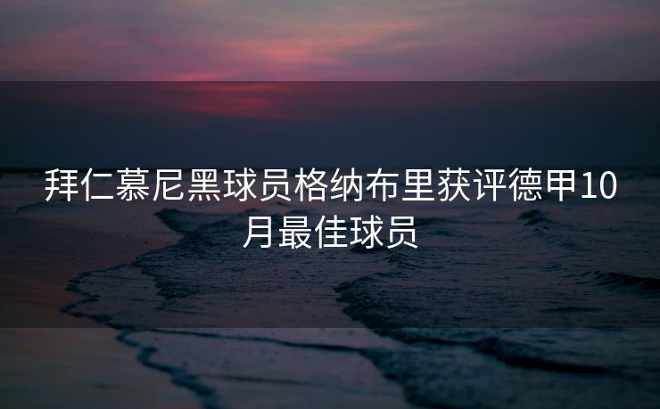 拜仁慕尼黑球员格纳布里获评德甲10月最佳球员