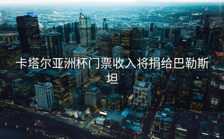 卡塔尔亚洲杯门票收入将捐给巴勒斯坦