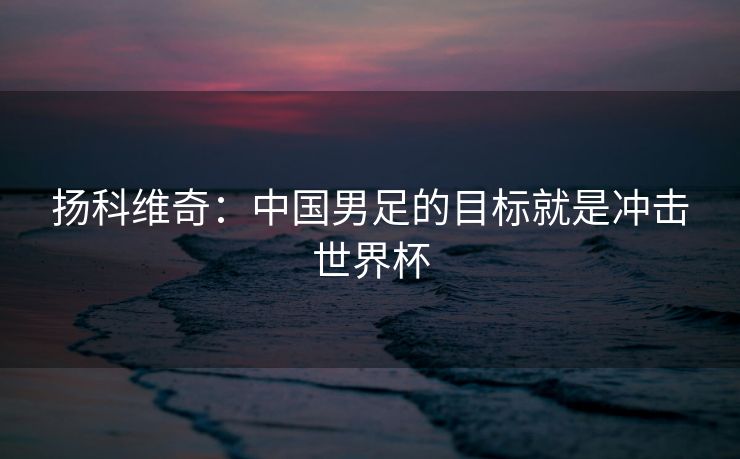 扬科维奇：中国男足的目标就是冲击世界杯