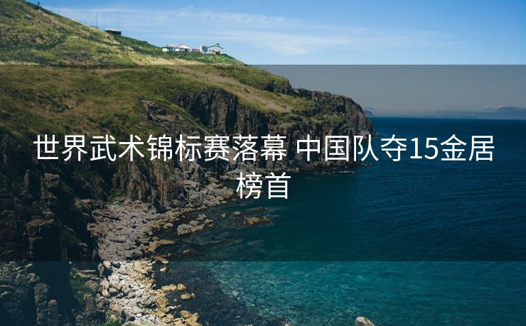 世界武术锦标赛落幕 中国队夺15金居榜首