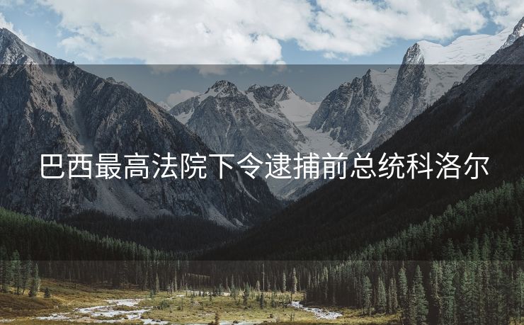 巴西最高法院下令逮捕前总统科洛尔
