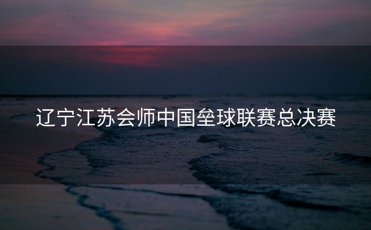 辽宁江苏会师中国垒球联赛总决赛