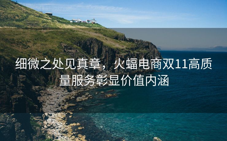 细微之处见真章，火蝠电商双11高质量服务彰显价值内涵
