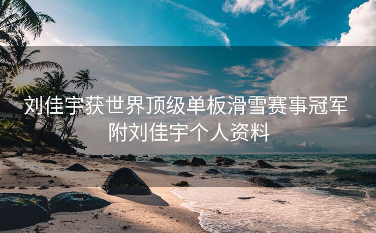 刘佳宇获世界顶级单板滑雪赛事冠军 附刘佳宇个人资料