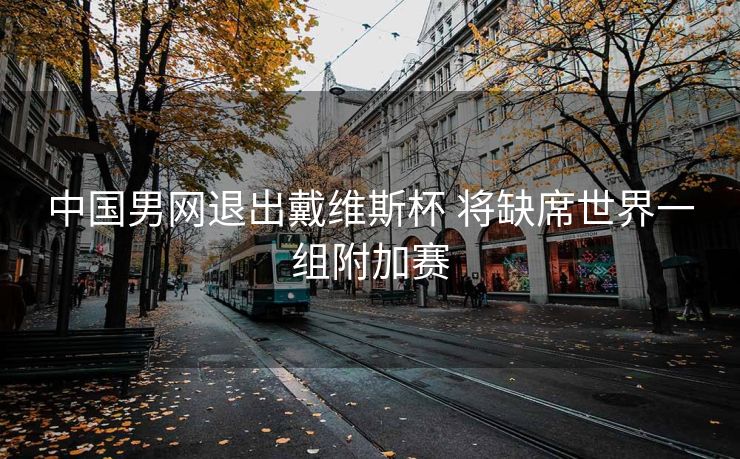 中国男网退出戴维斯杯 将缺席世界一组附加赛