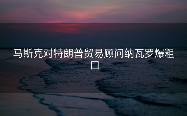 马斯克对特朗普贸易顾问纳瓦罗爆粗口