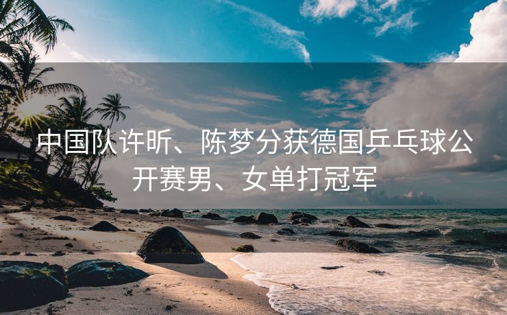 中国队许昕、陈梦分获德国乒乓球公开赛男、女单打冠军