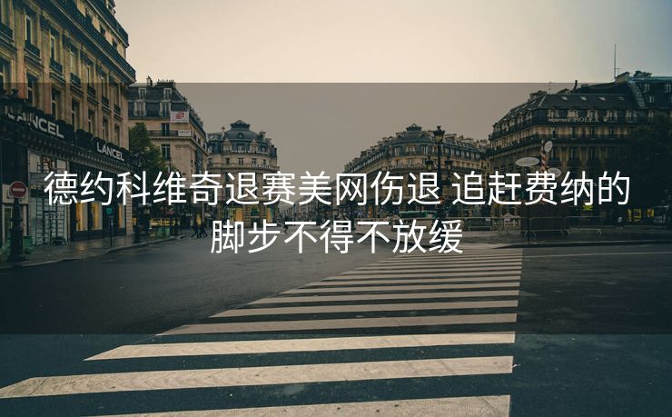 德约科维奇退赛美网伤退 追赶费纳的脚步不得不放缓