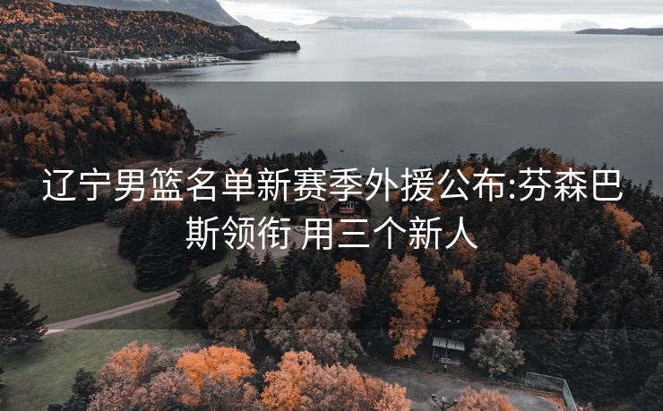 辽宁男篮名单新赛季外援公布:芬森巴斯领衔 用三个新人