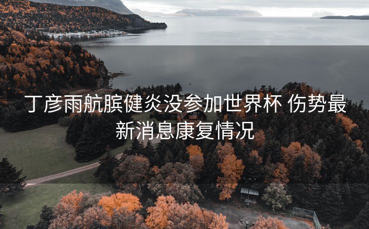 丁彦雨航膑健炎没参加世界杯 伤势最新消息康复情况