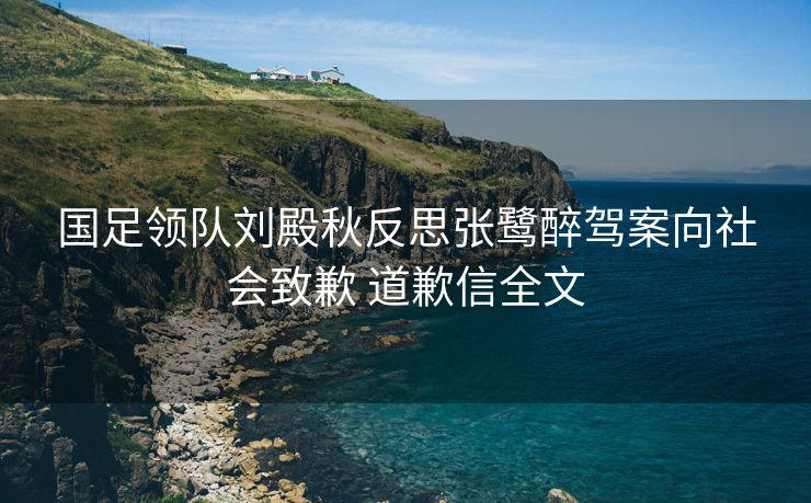 国足领队刘殿秋反思张鹭醉驾案向社会致歉 道歉信全文