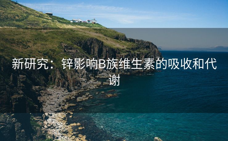 新研究：锌影响B族维生素的吸收和代谢