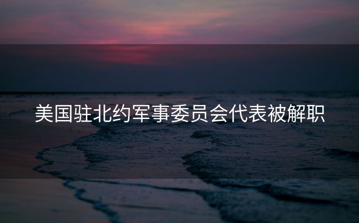 美国驻北约军事委员会代表被解职