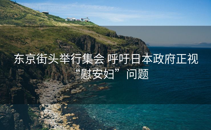 东京街头举行集会 呼吁日本政府正视“慰安妇”问题　