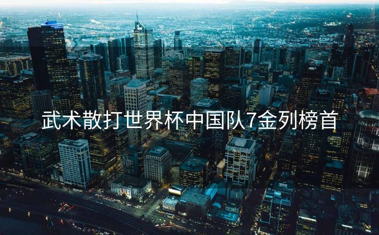 武术散打世界杯中国队7金列榜首