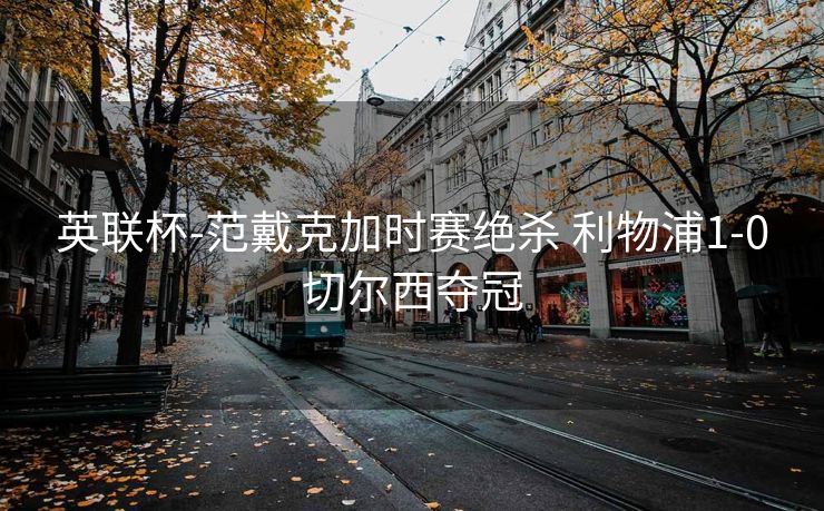 英联杯-范戴克加时赛绝杀 利物浦1-0切尔西夺冠