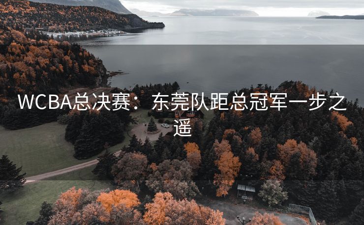 WCBA总决赛：东莞队距总冠军一步之遥