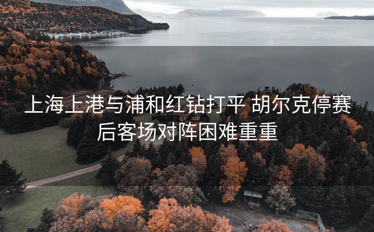 上海上港与浦和红钻打平 胡尔克停赛后客场对阵困难重重