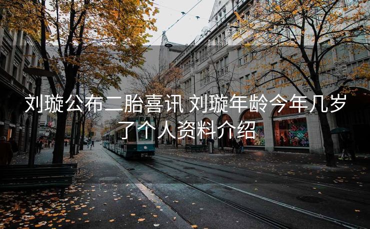 刘璇公布二胎喜讯 刘璇年龄今年几岁了个人资料介绍