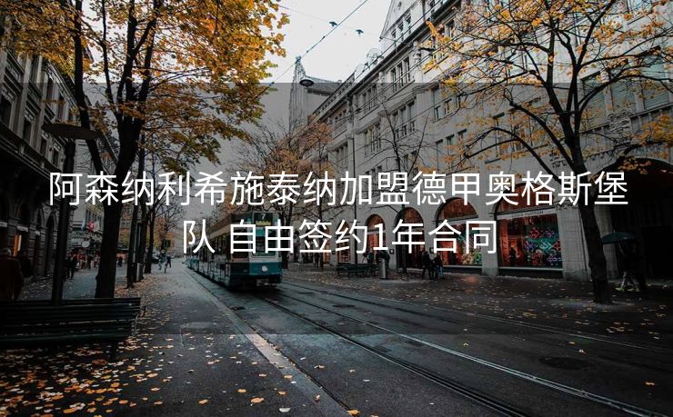 阿森纳利希施泰纳加盟德甲奥格斯堡队 自由签约1年合同
