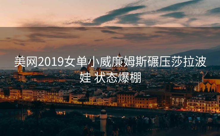 美网2019女单小威廉姆斯碾压莎拉波娃 状态爆棚