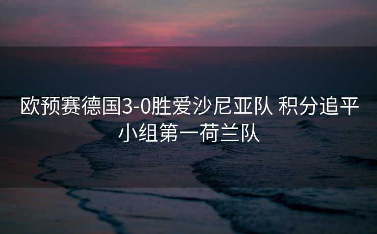 欧预赛德国3-0胜爱沙尼亚队 积分追平小组第一荷兰队