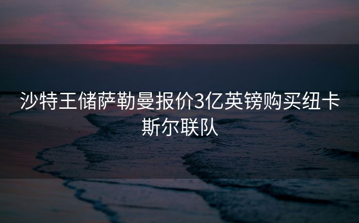 沙特王储萨勒曼报价3亿英镑购买纽卡斯尔联队