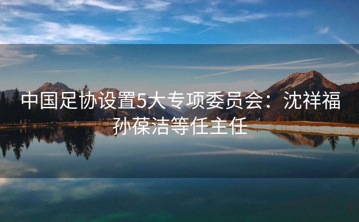 中国足协设置5大专项委员会：沈祥福孙葆洁等任主任