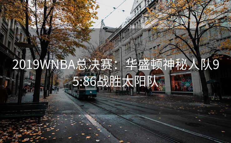 2019WNBA总决赛：华盛顿神秘人队95:86战胜太阳队
